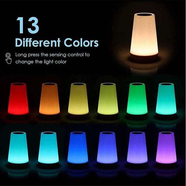13 Color light